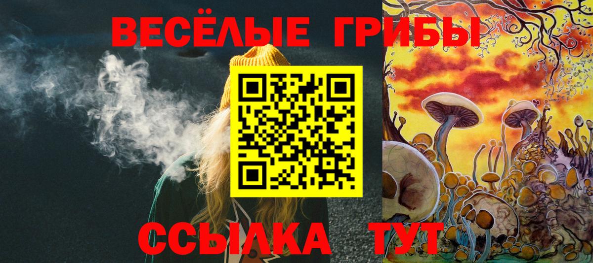 Галлюциногенные грибы Cubensis Борисоглебск